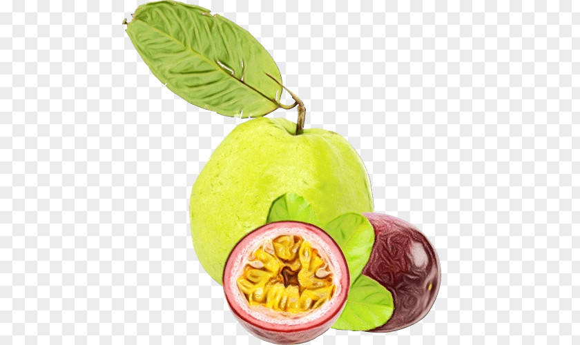 Accessory Fruit Flower Apple Tree PNG