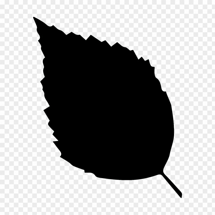 Monochrome Photography Plant Black Leaf Black-and-white Logo PNG