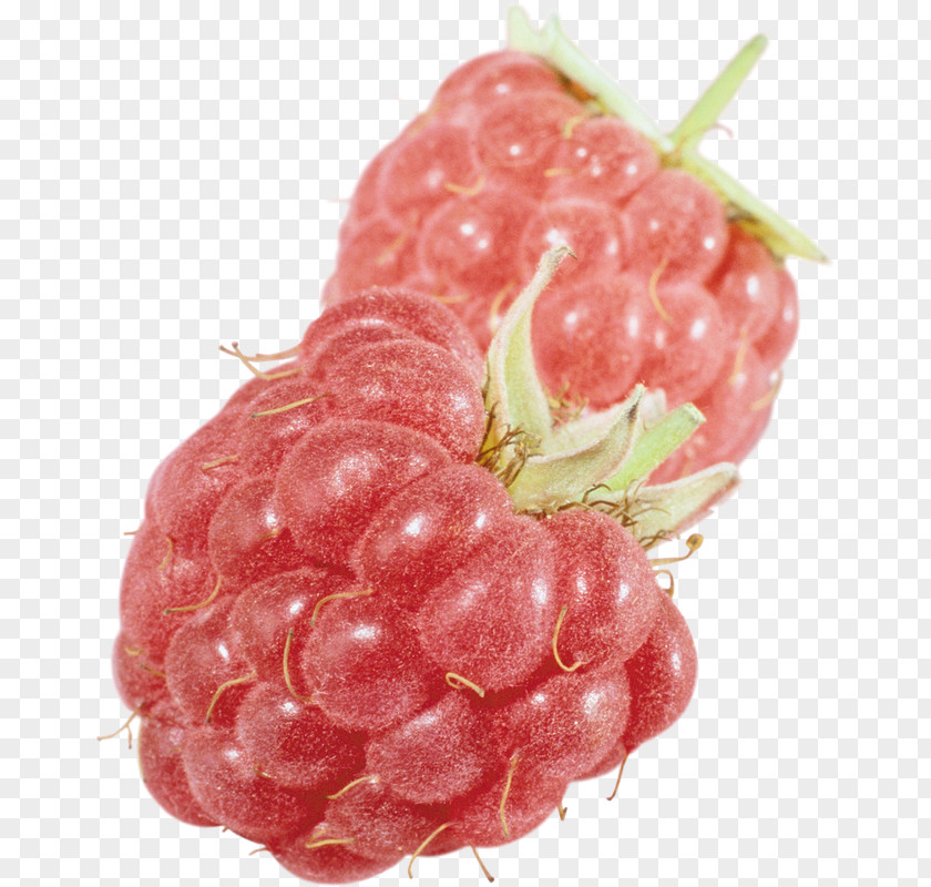 Raspberry Loganberry Strawberry Tayberry Fruit PNG