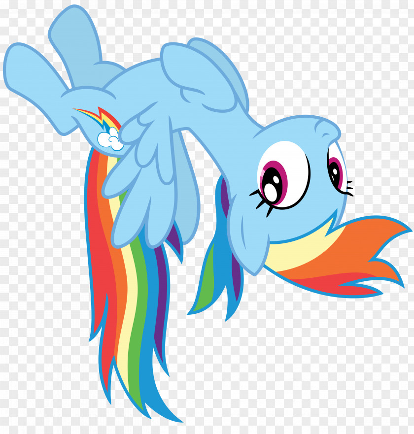 Dash Rainbow Pinkie Pie Twilight Sparkle Pony PNG