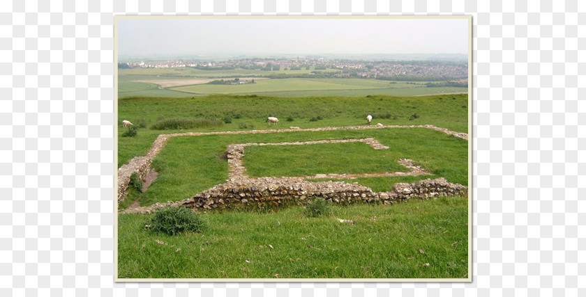 Roman Temple Maiden Castle, Dorset Archaeological Site Maumbury Rings Tumulus PNG