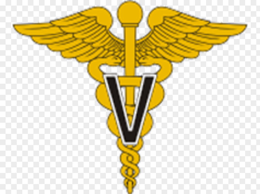 United States Army Nurse Corps Nursing Care Military Medical Department PNG