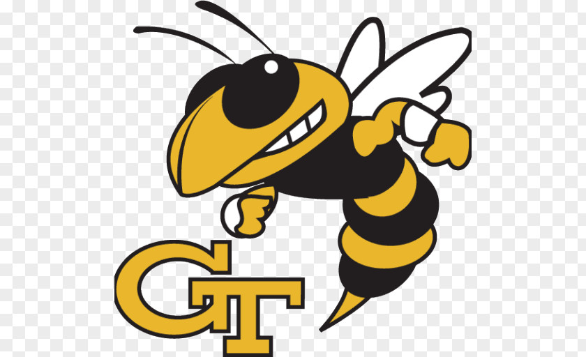 American Football Georgia Institute Of Technology Tech Yellow Jackets Women's Basketball Men's NCAA Division I Bowl Subdivision PNG