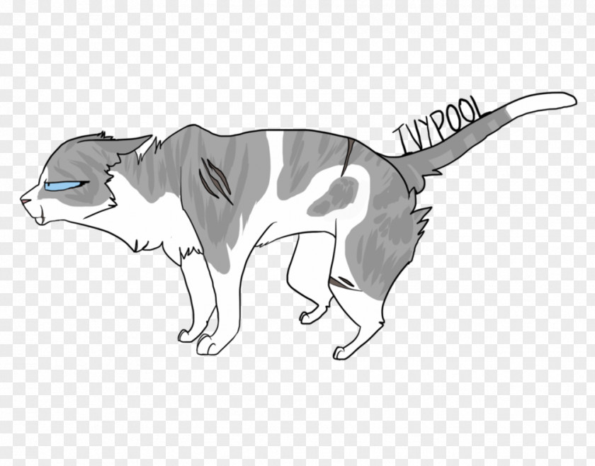 Awesome Warrior Cat Drawings Whiskers Sketch Dog Mammal PNG