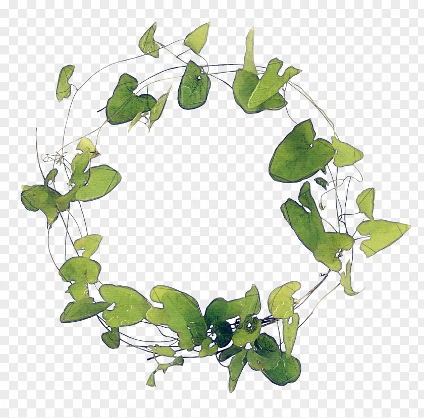 Green Leaf Ring Branch Transparency Twig PNG