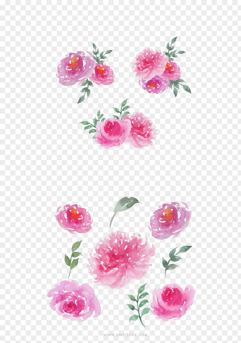 Ink And Flower Decoration Garden Roses Watercolour Flowers Watercolor Painting PNG