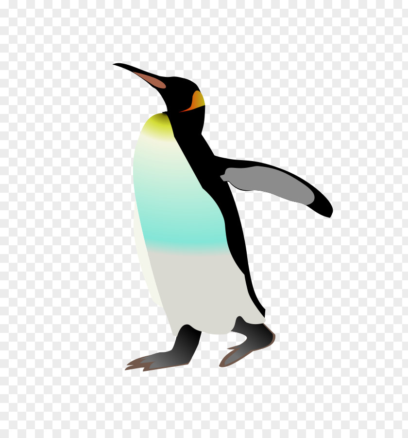 Penguins Clipart Emperor Penguin Bird Gentoo Clip Art PNG