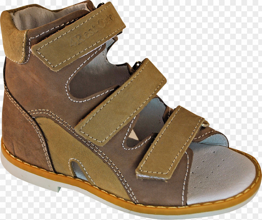 Sandal Slide Leather Shoe Walking PNG