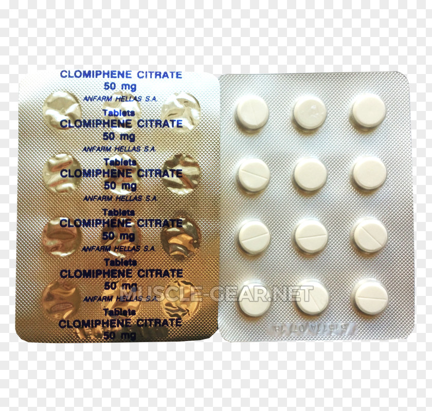 Sleep Cycle Alcohol Clomifene Pharmaceutical Drug Testosterone Therapy Anfarm PNG