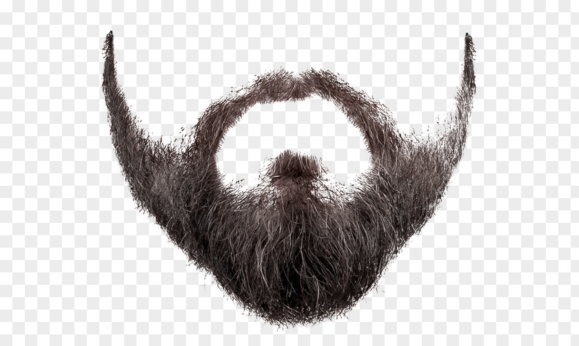 Beard And Moustache Photography Clip Art PNG