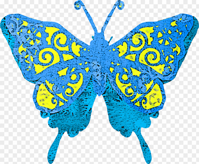 Butterfly Blue Moths And Butterflies Insect Common PNG