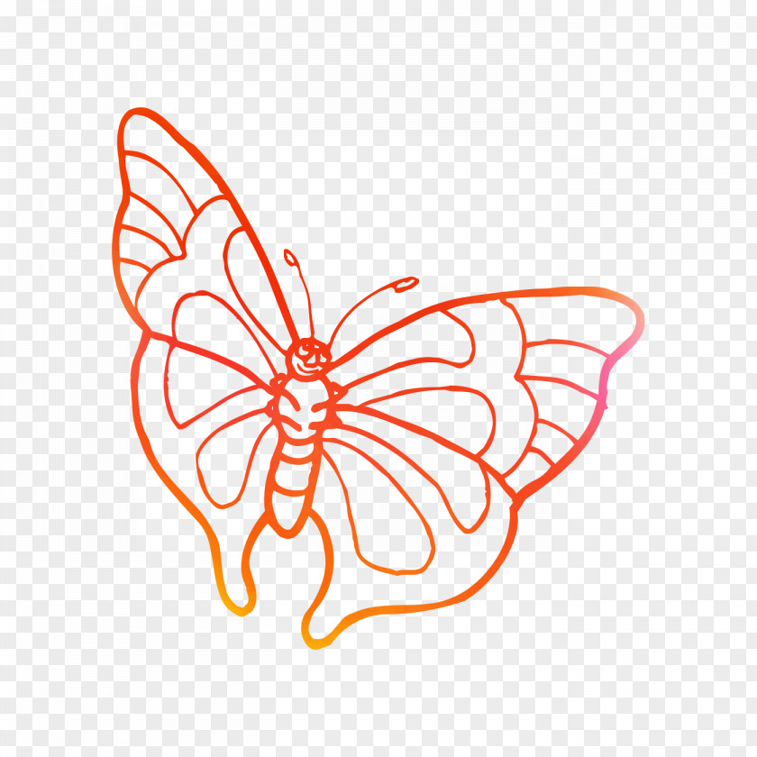 Coloring Book Drawing Butterfly Zentangle Ausmalbild PNG
