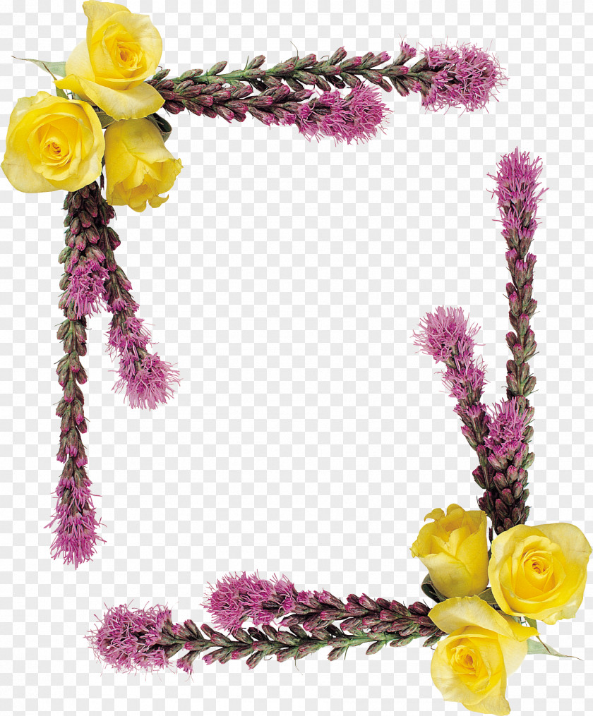 Frame Flower Picture Frames Clip Art PNG