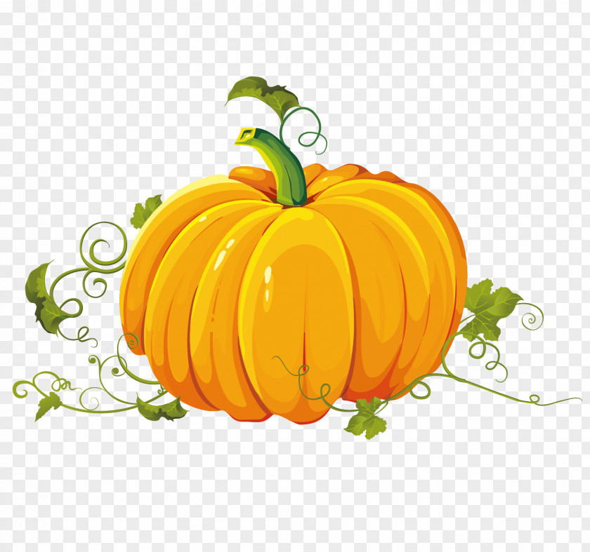 Hand Painted Pumpkin Teng Autumn Harvest Clip Art PNG