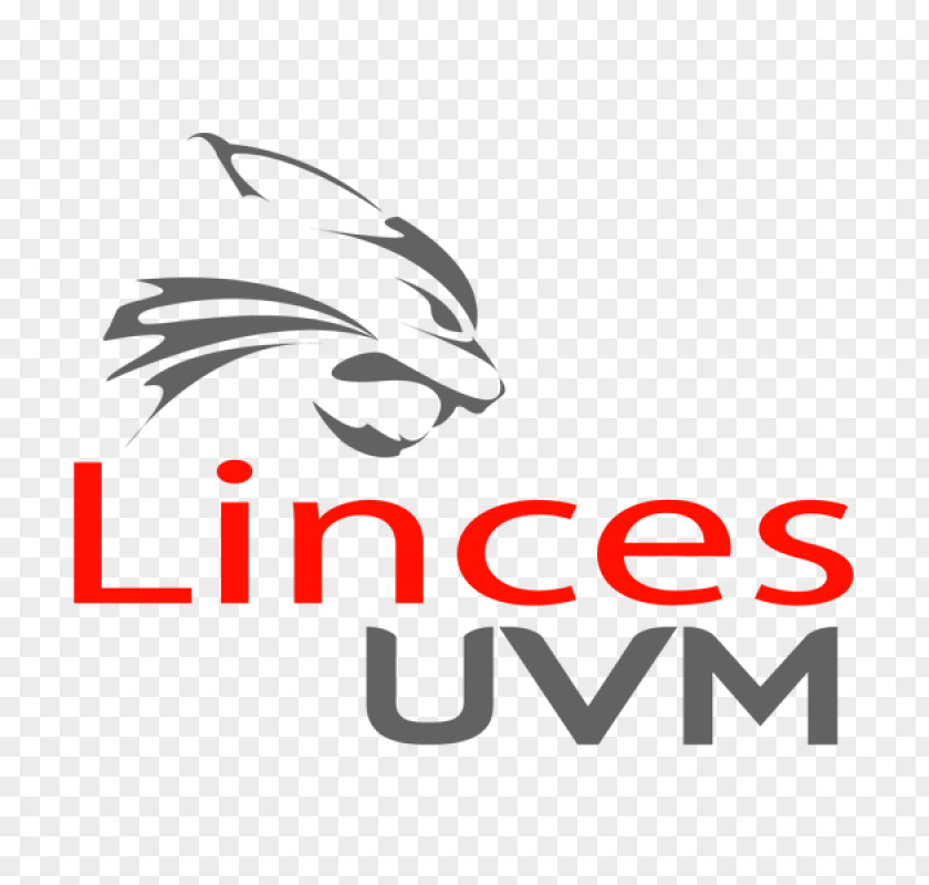 Lynx Universidad Del Valle De México Lomas Verdes Organización Nacional Estudiantil Fútbol Americano Ciudad Universitaria PNG