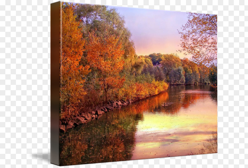 Painting Gallery Wrap Canvas River State Park PNG