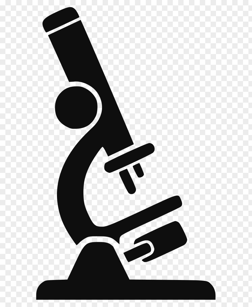Picture Of Microscope Clip Art PNG