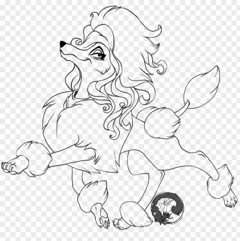 Puppy Toy Poodle Colouring Pages Coloring Book PNG