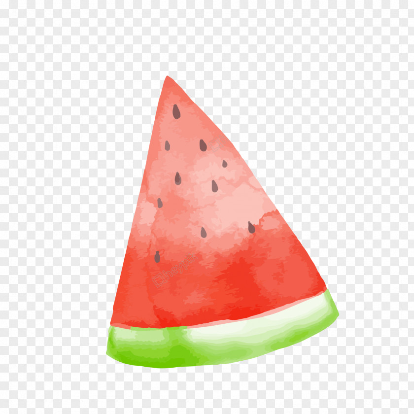 Watermelon Vector Graphics Image Illustration PNG