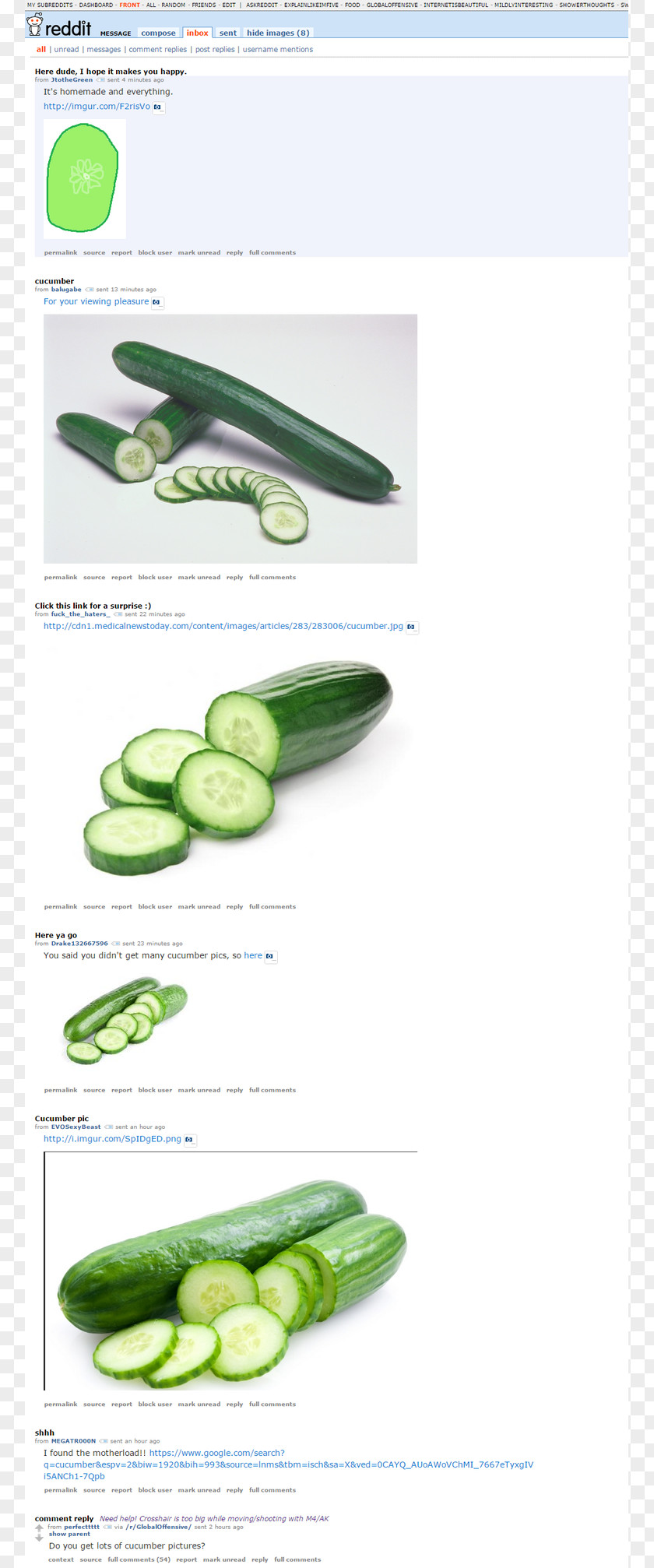 Cucumber Counter-Strike: Global Offensive Reticle Telescopic Sight Vegetable PNG