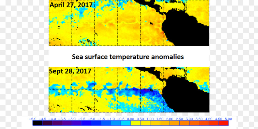 Sea Surface Pacific Ocean La Niña Temperature El Niño PNG