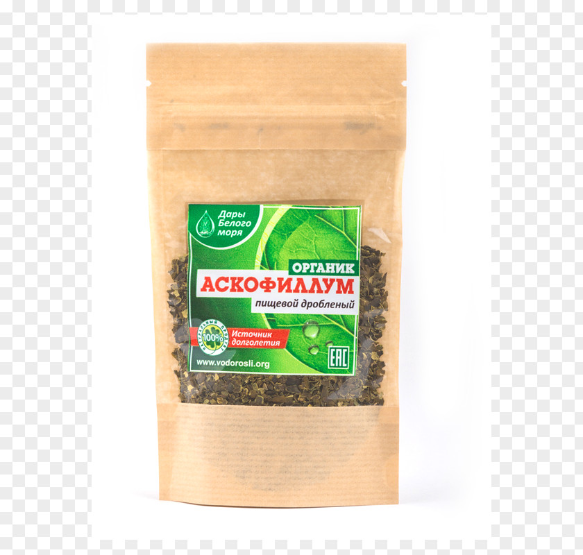 Ascophyllum Nodosum Bladder Wrack Algae Flavor Food Industry PNG