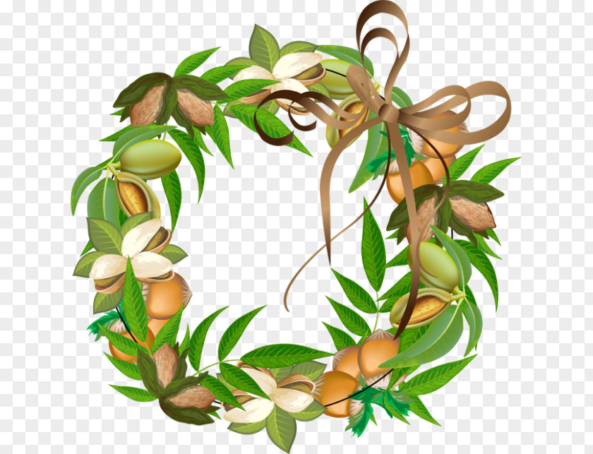 Clip On Nuts Wreath Nut Art PNG