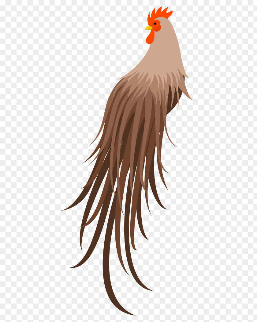 Crow Material Rooster Chicken Bird Beak PNG