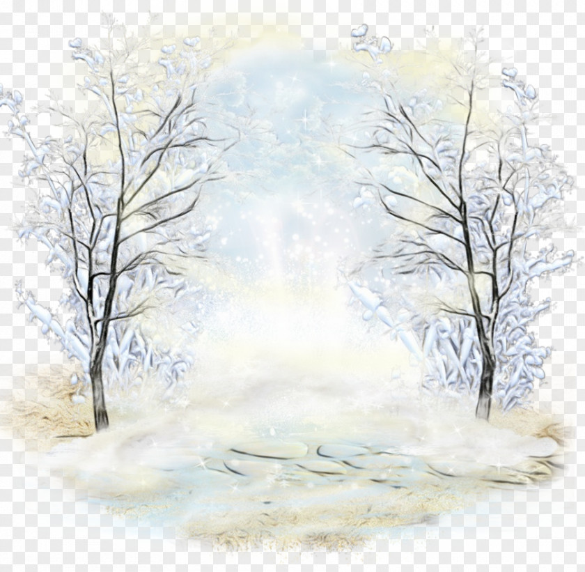 Forest Landscape Tree Atmospheric Phenomenon Branch Sky Winter PNG