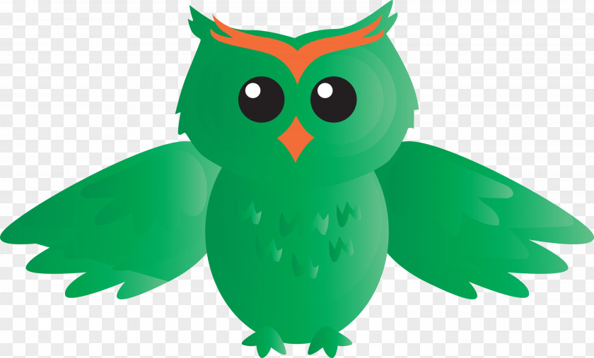 Owl Green Bird Of Prey Eastern Screech PNG