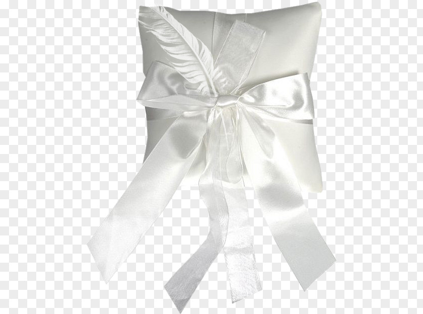 Ribbon Satin Feather PNG