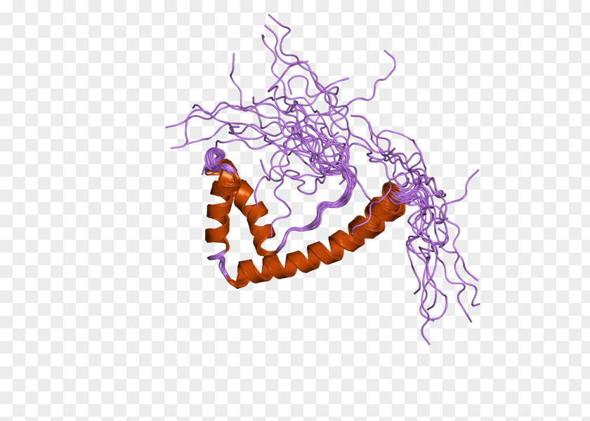 TOX3 High-mobility Group Protein Art PNG