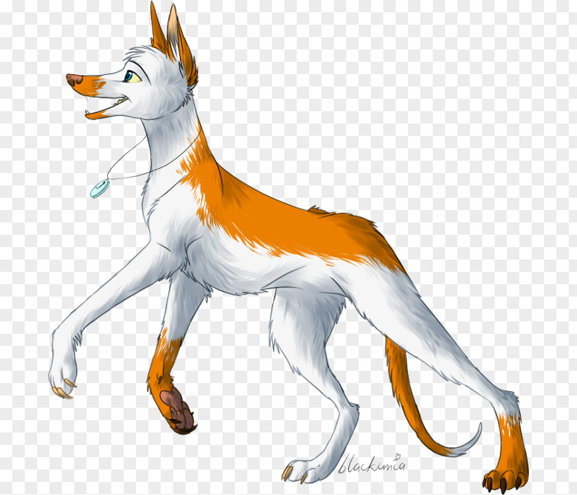 Dog Breed Red Fox Tail Wildlife PNG