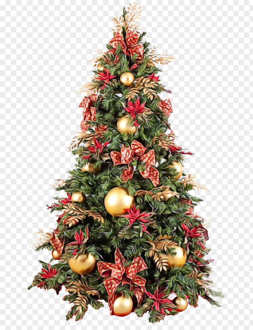 Fir Holiday Ornament Christmas Tree PNG