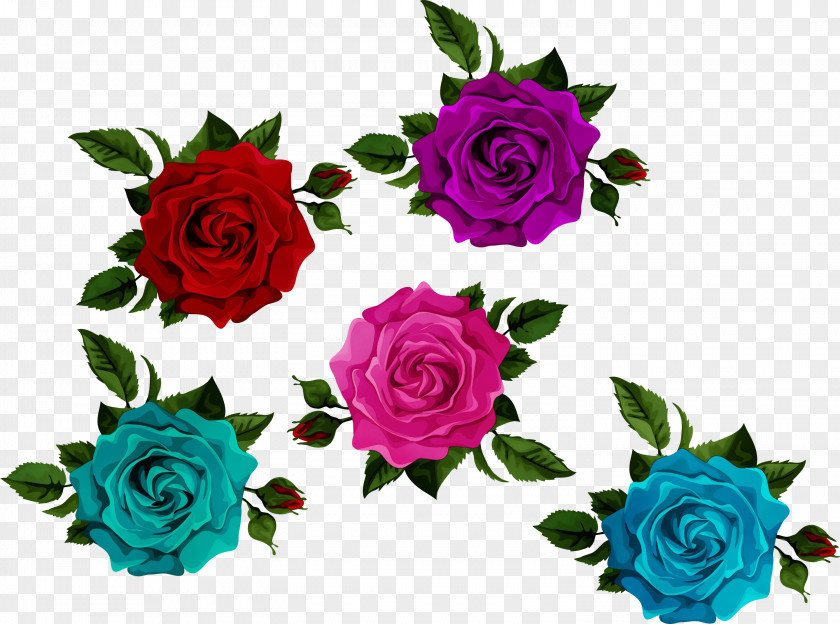Hybrid Tea Rose Order Garden Roses PNG