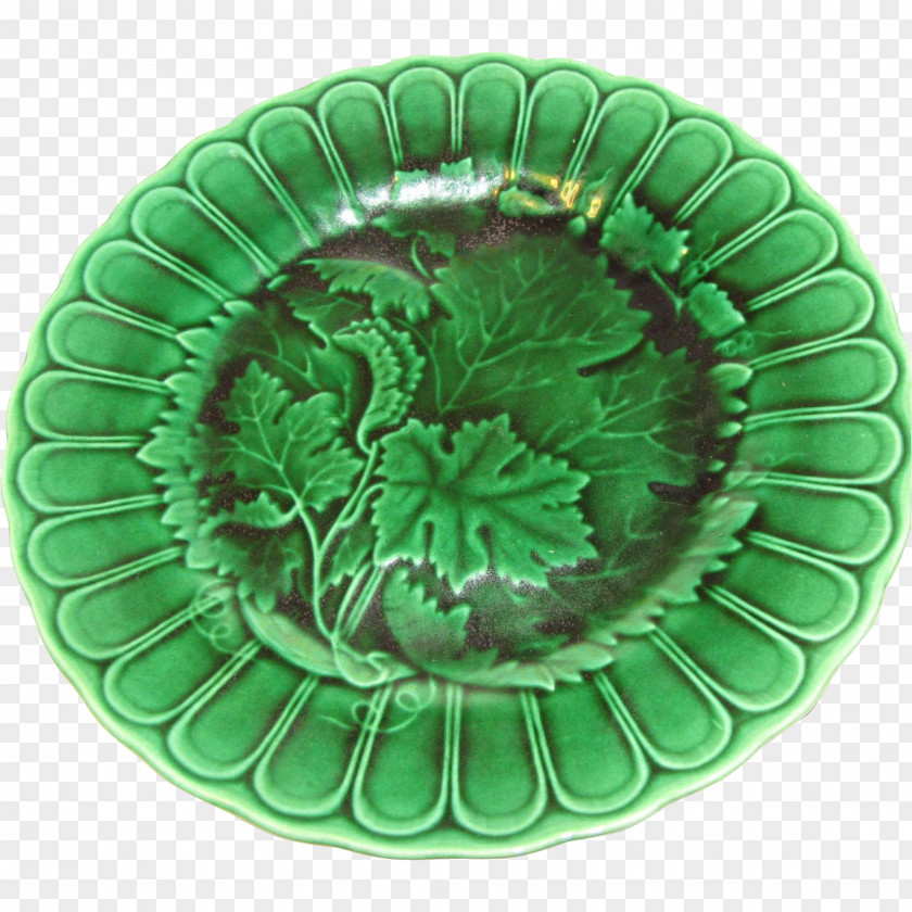 Plate Platter Tableware Circle Organism PNG