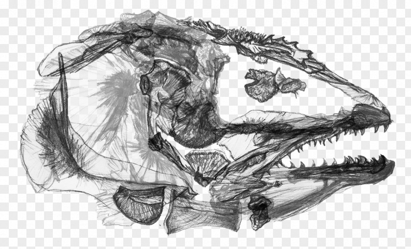 Car Tyrannosaurus Jaw Figure Drawing Sketch PNG
