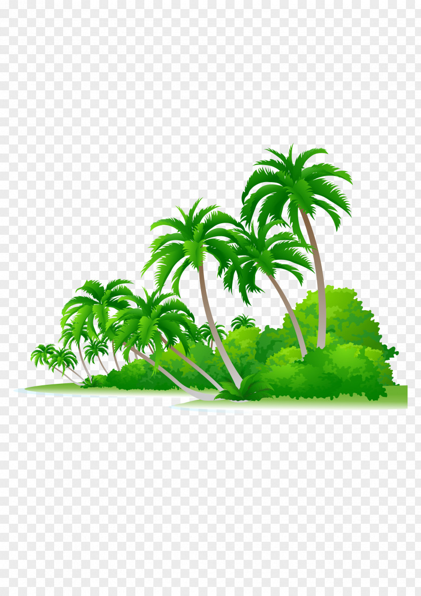 Palm Beach Arecaceae Euclidean Vector Tree Illustration PNG