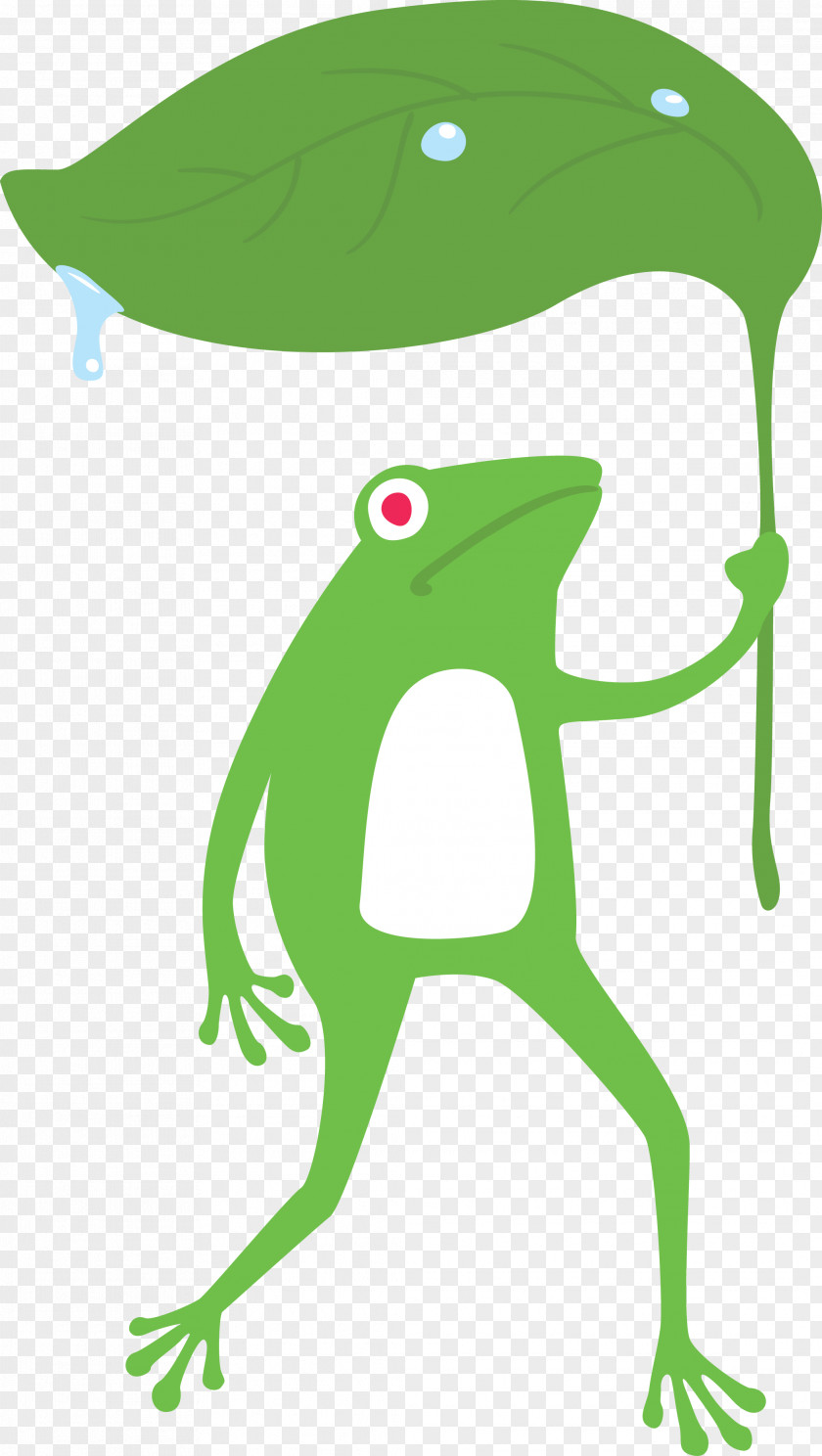 True Frog Toad Frogs Cartoon Tree PNG