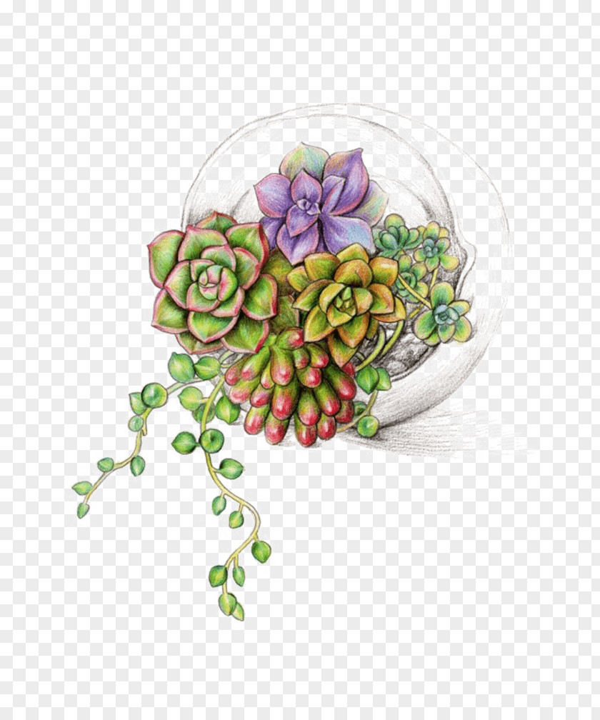 Bonsai Ornament Succulent Plant Image Watercolor Painting Illustration PNG