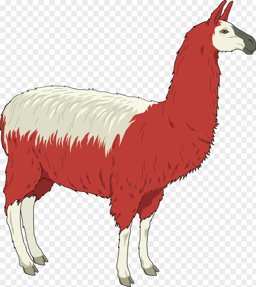 Free Sheep Vector Llama Clip Art Openclipart Alpaca Content PNG