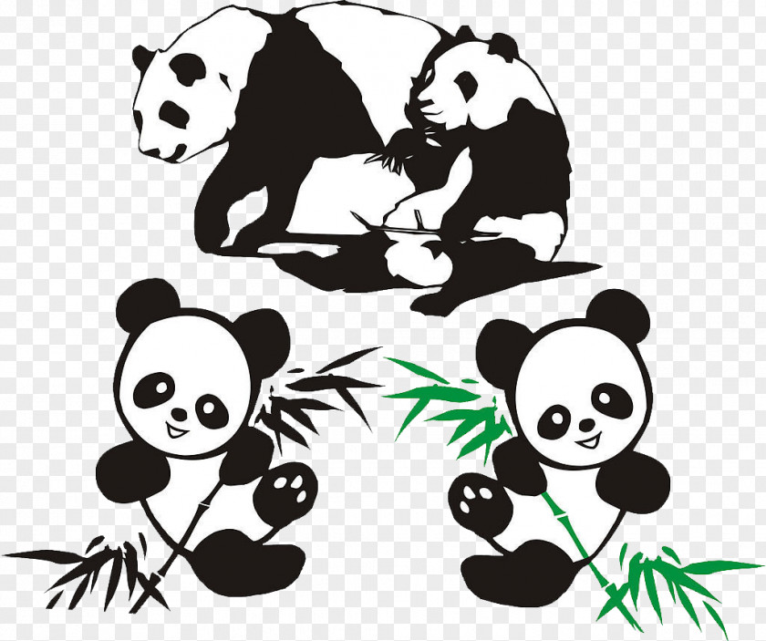 Panda Eating Bamboo Giant Red PNG