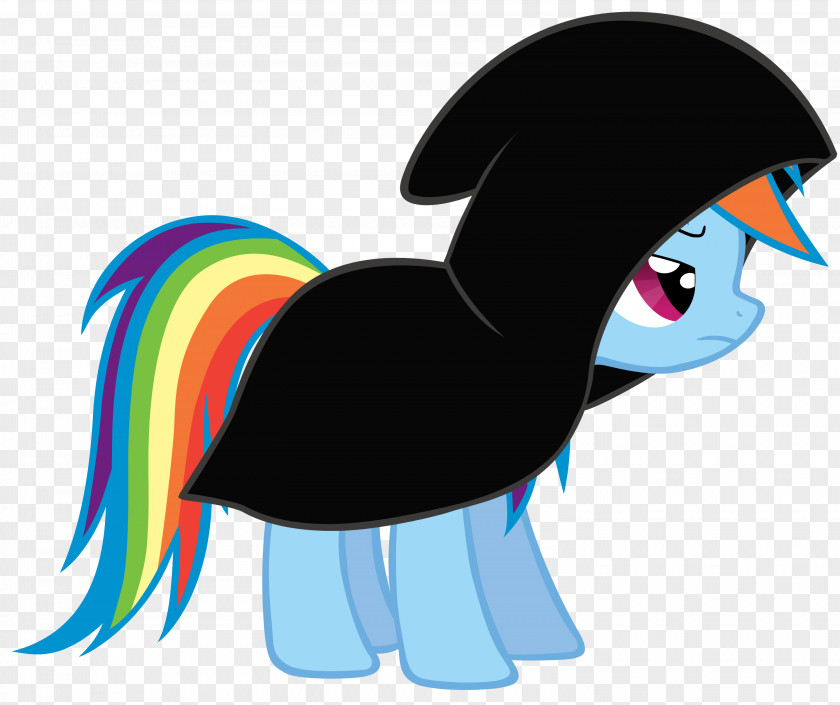 Rainbow Pony Dash Drawing PNG