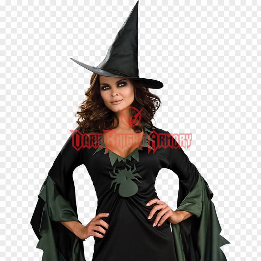 Witch Costume Witchcraft Carnival Wiedźma PNG