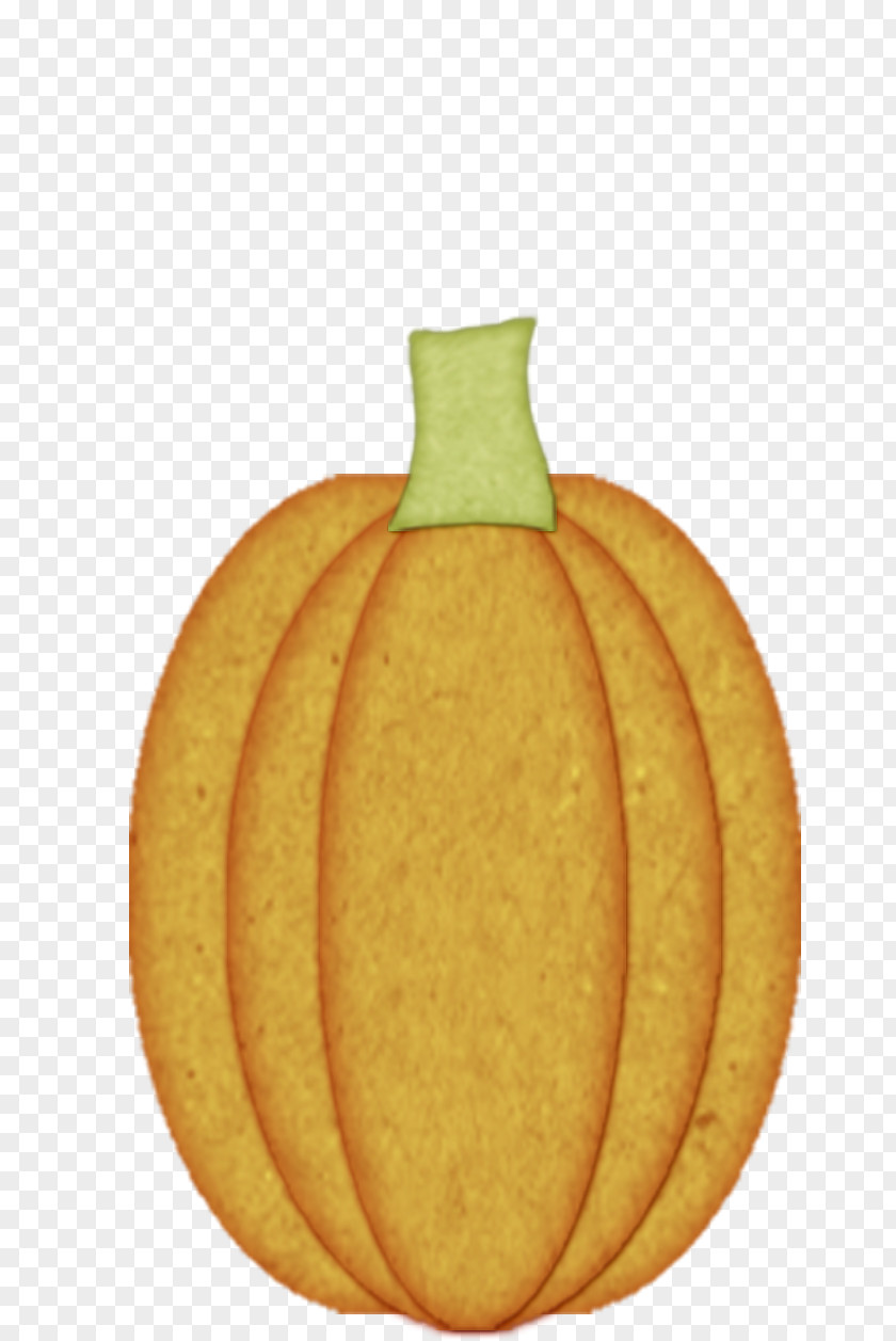 Pumpkin Calabaza Winter Squash PNG