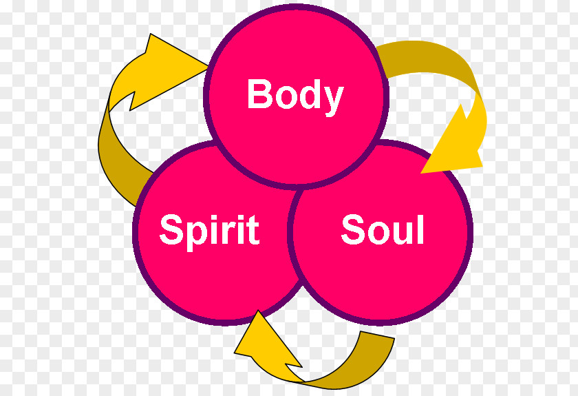 Soul And Body Spirit Person Salvation PNG