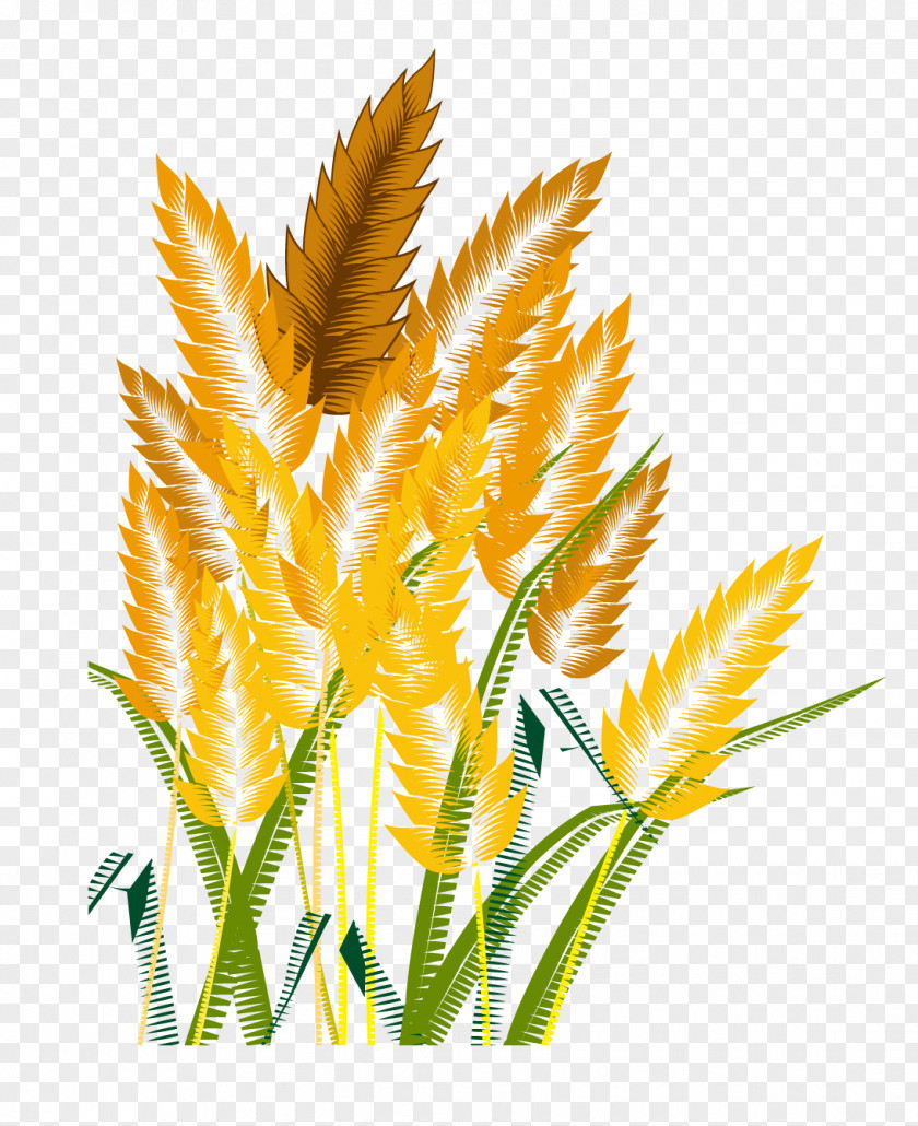 Wheat Crop Icon PNG