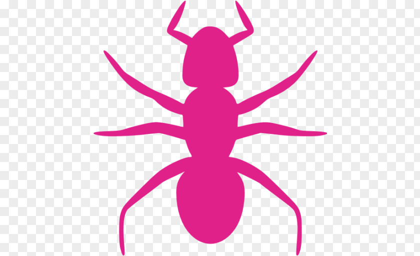 Ant Drawing Clip Art PNG