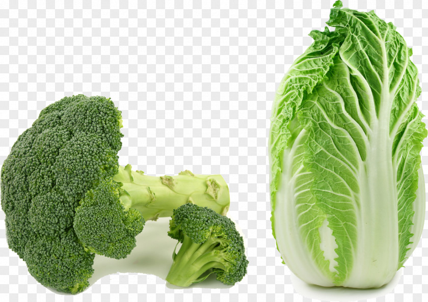 Broccoli Cabbage Asian Cuisine Choy Sum Chinese Napa Vegetable PNG