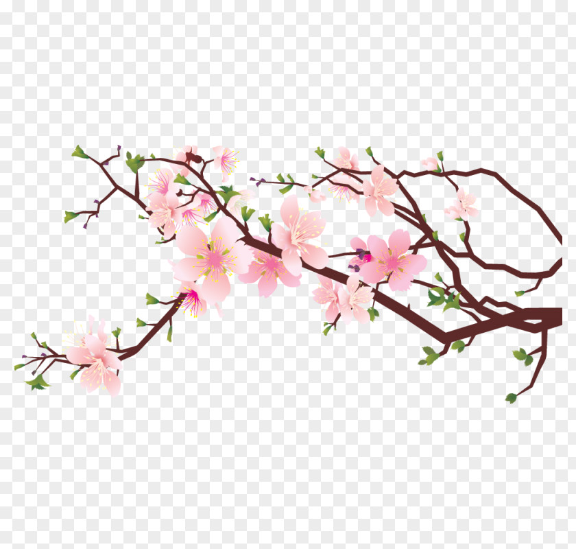 Cherry Blossom Clip Art Image Drawing PNG
